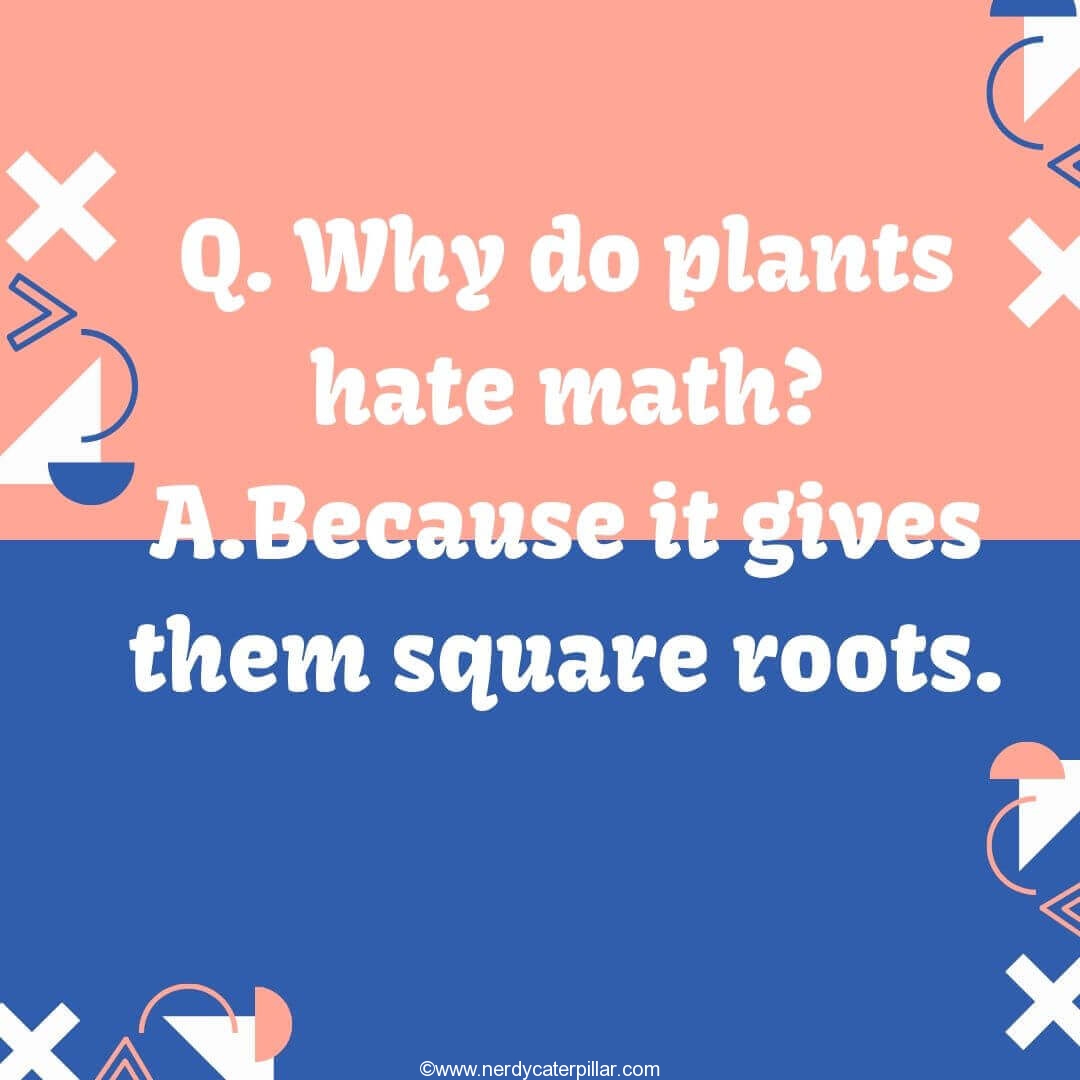 simple math puns