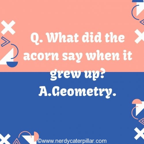 Geometry Joke For Kids