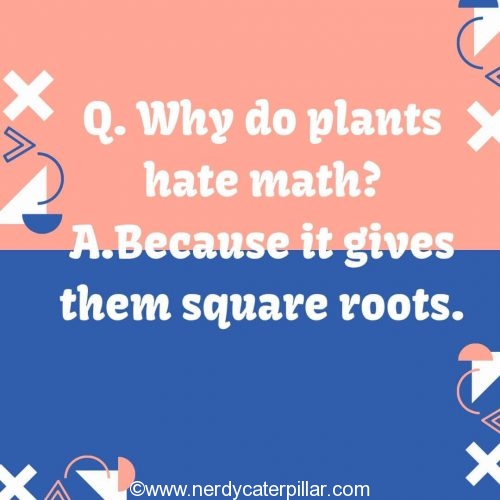 Math Jokes For Middle School