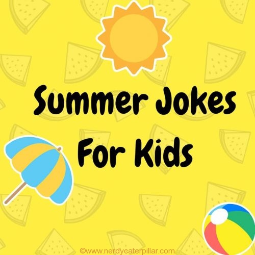 Summer Jokes Kids
