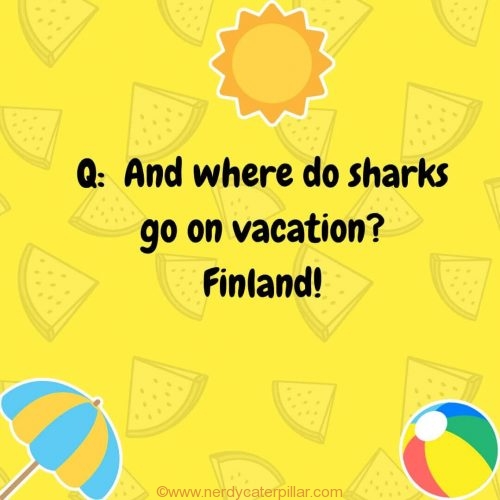 Vacation Jokes For Kids