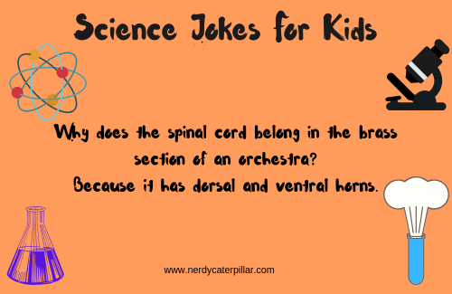 72 Science Jokes For Kids Nerdy Caterpillar
