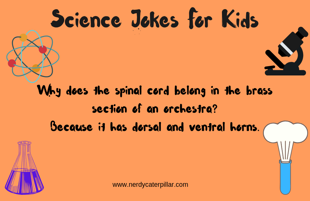 Best Science Jokes For Kids