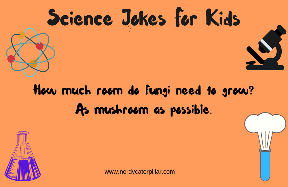 Hilarious Science Jokes