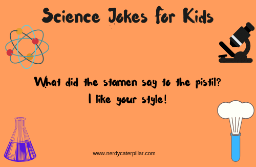 Jokes On Science