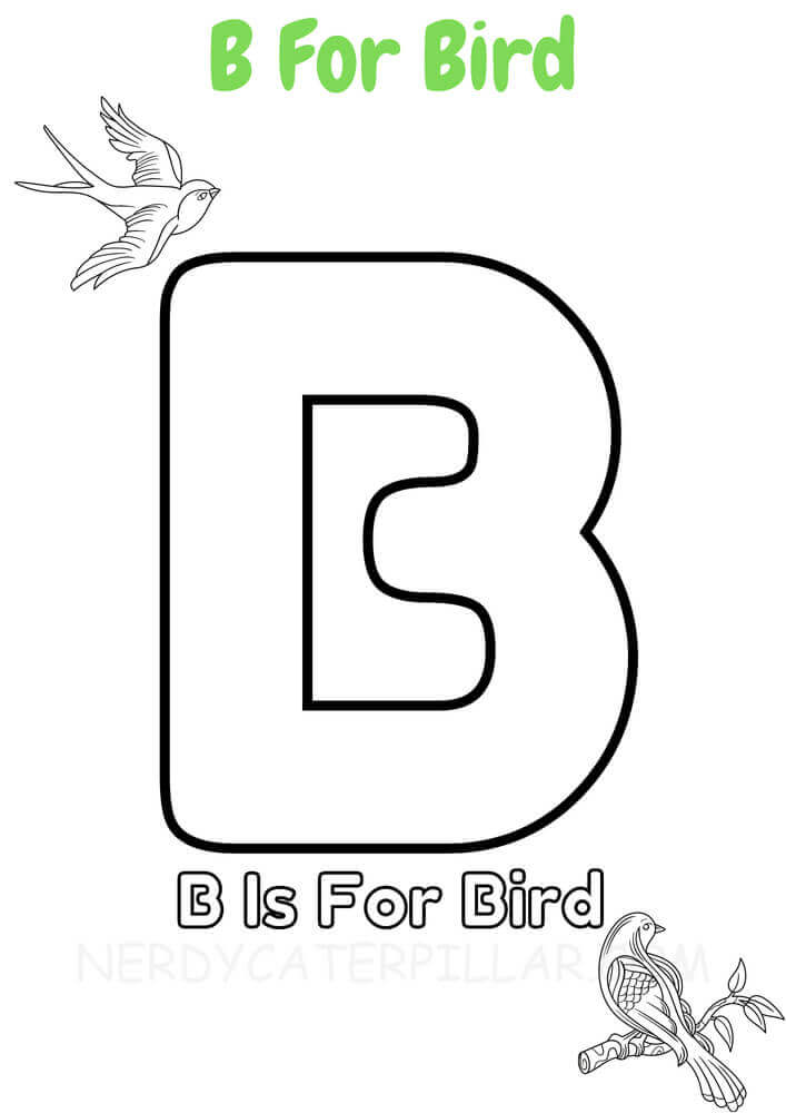 B for bird worksheet