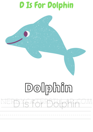 D for dolphin worksheet